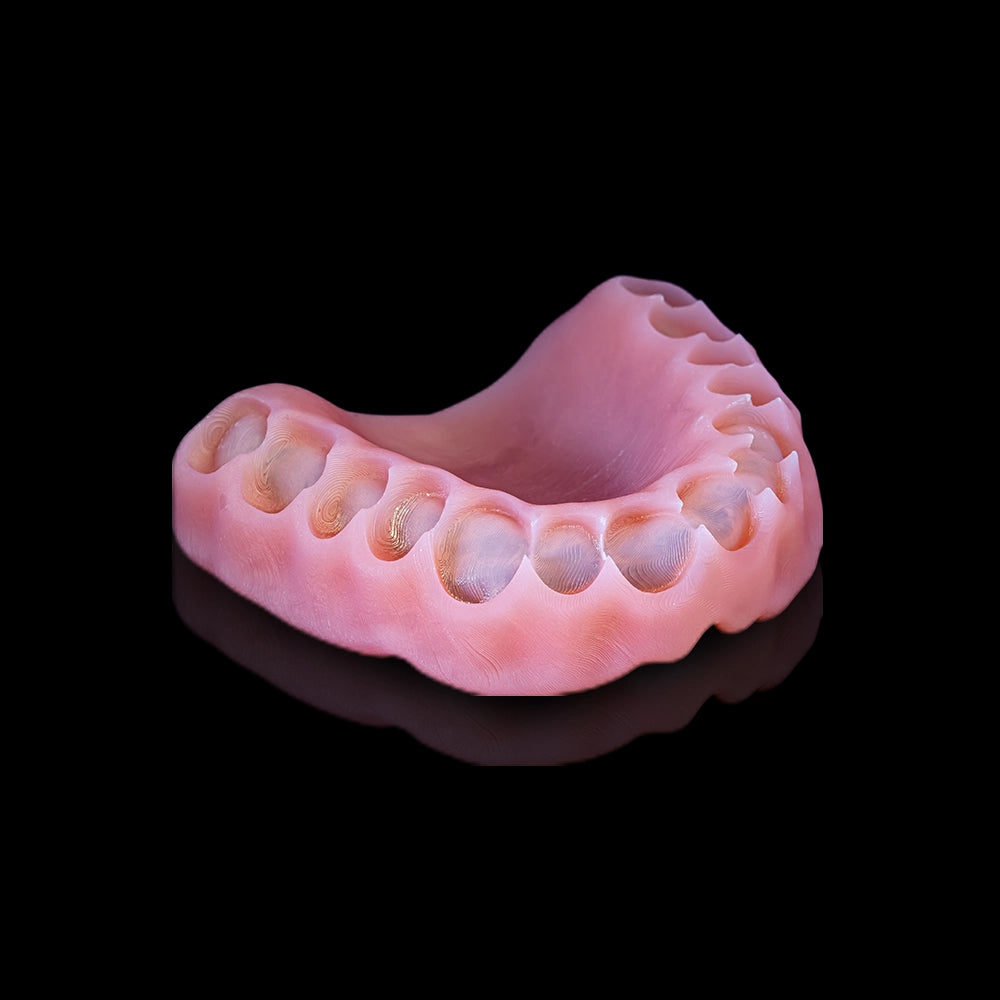 Rodin - Denture Base 2.0