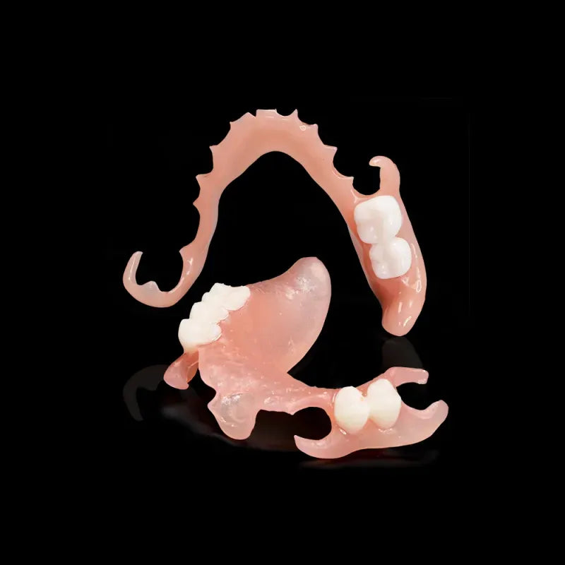 Rodin - Bioarc
