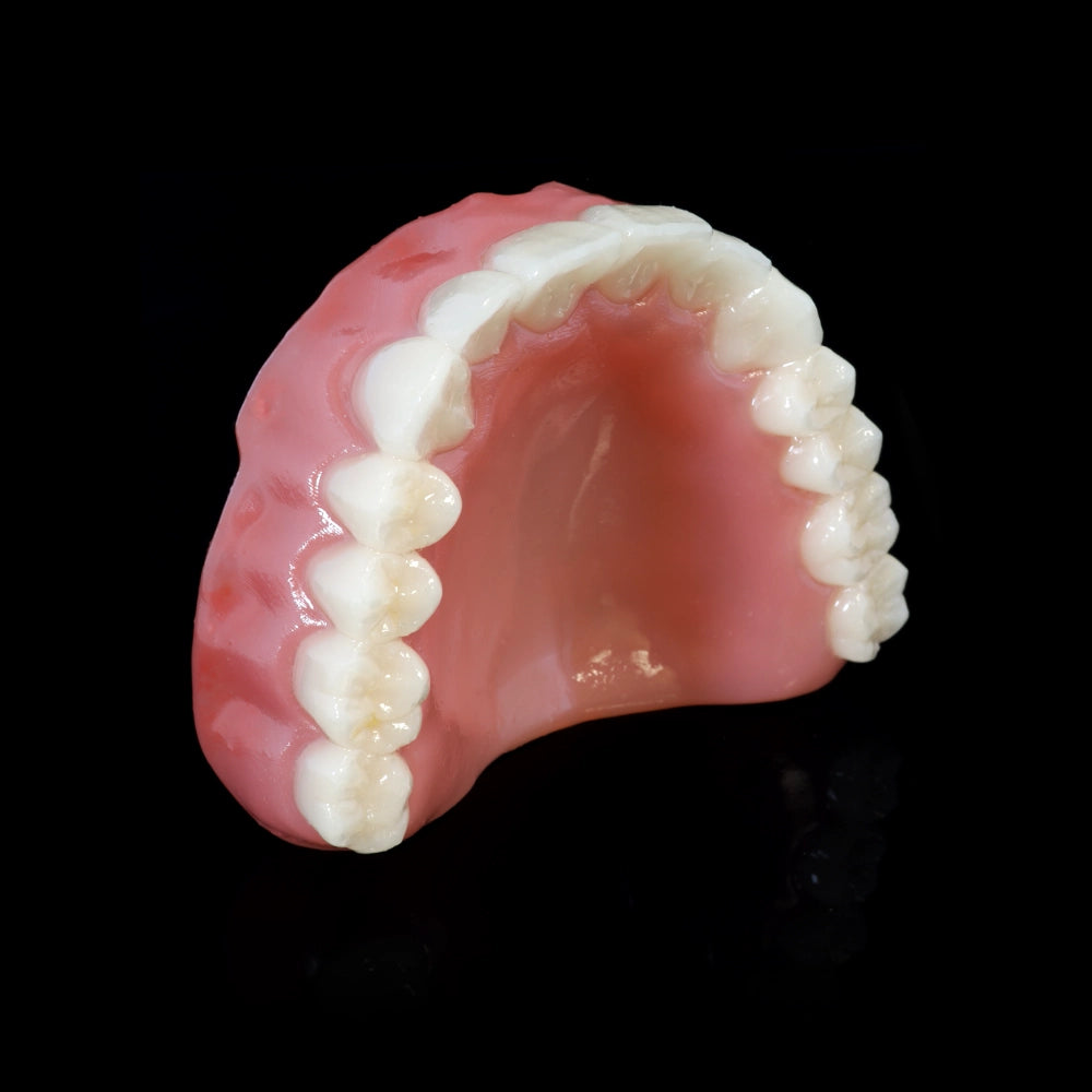 Rodin - Denture Base 2.0