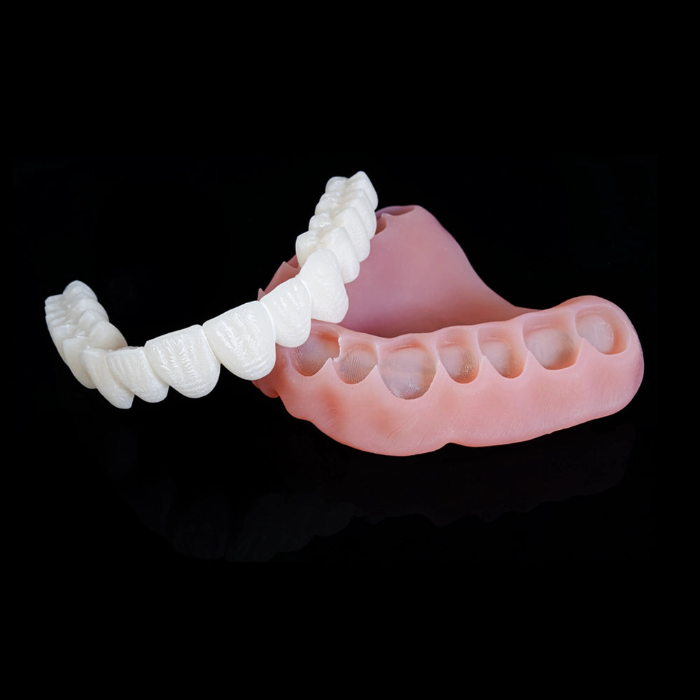 Rodin - Denture Base 2.0