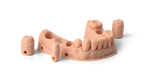 Dental Model