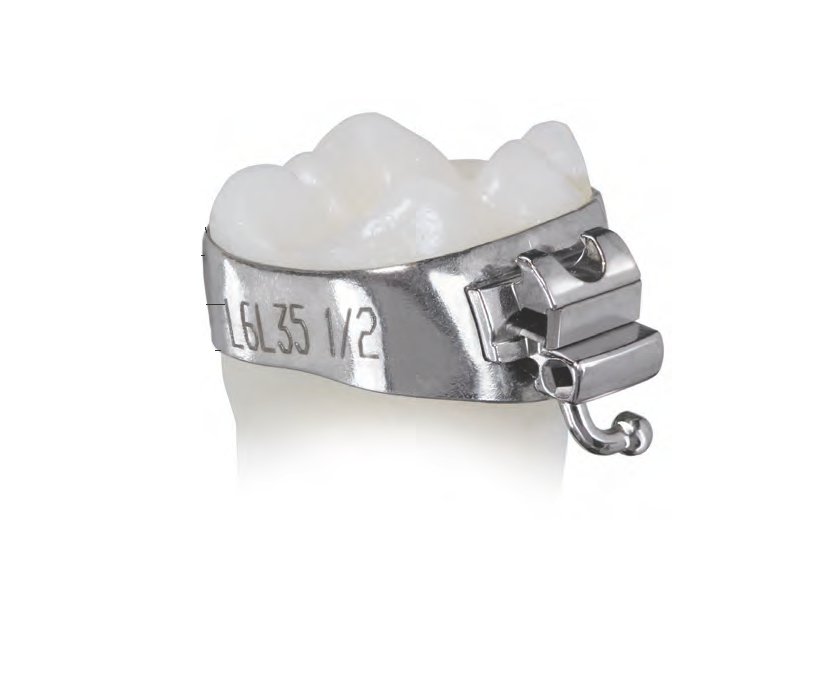 orthodontic-band 7 LR